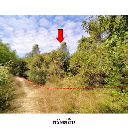 ทรัพย์ บสส. รหัส 3A1037 ที่ดินเปล่า  ร้อยเอ็ด 1822000