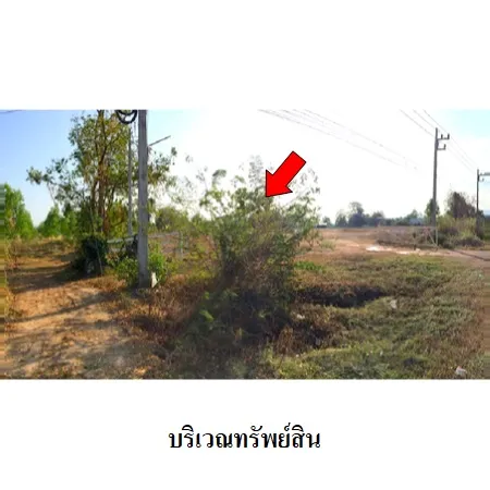 ทรัพย์ บสส. รหัส 3A1120 ที่ดินเปล่า  สุโขทัย 2925000