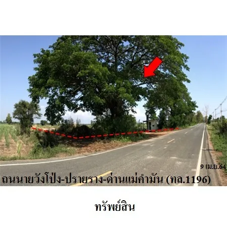 ทรัพย์ บสส. รหัส 3A1250 ที่ดินเปล่า อุตรดิตถ์ 2441000