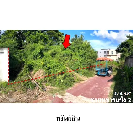 ทรัพย์ บสส. รหัส 3A1379 ที่ดินเปล่า อุดรธานี 2122000