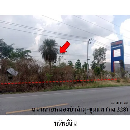 ทรัพย์ บสส. รหัส 3A1633 ที่ดินเปล่า  หนองบัวลำภู 6724000