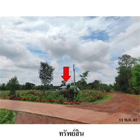 ทรัพย์ บสส. รหัส 3A1651 ที่ดินเปล่า  สกลนคร 5535000