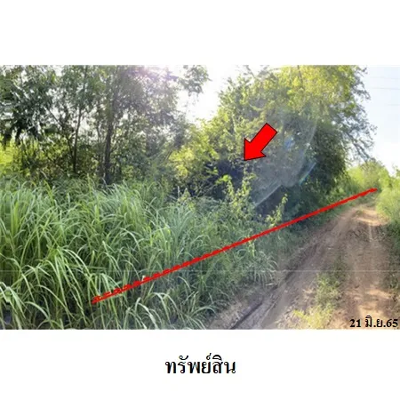 ทรัพย์ บสส. รหัส 3A1839 ที่ดินเปล่า เพชรบูรณ์ 157000