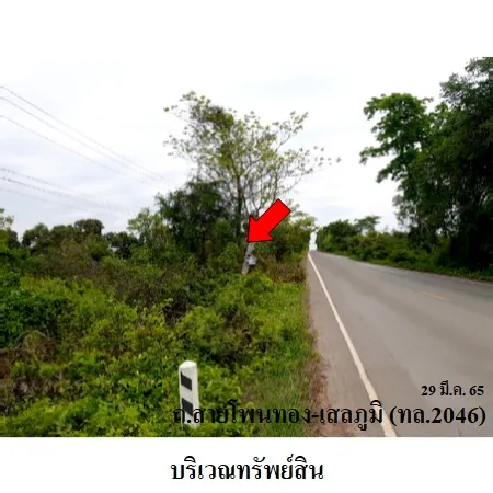 ทรัพย์ บสส. รหัส 3A1848 ที่ดินเปล่า ร้อยเอ็ด 8848000