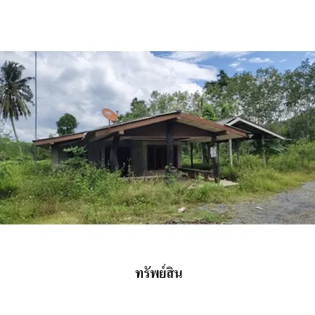 ทรัพย์ บสส. รหัส 3A1863 บ้านเดี่ยว  นครศรีธรรมราช 1164000