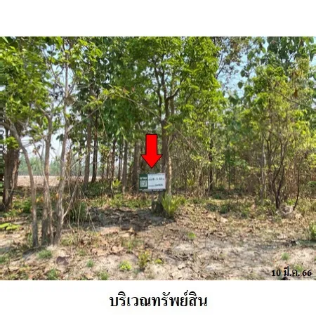ทรัพย์ บสส. รหัส 3A1905 ที่ดินเปล่า  ลำปาง 639000
