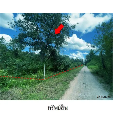 ทรัพย์ บสส. รหัส 3A1906 ที่ดินเปล่า  ลำปาง 6079000