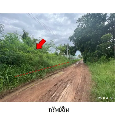 ทรัพย์ บสส. รหัส 3A1935 ที่ดินเปล่า  พิจิตร 280000