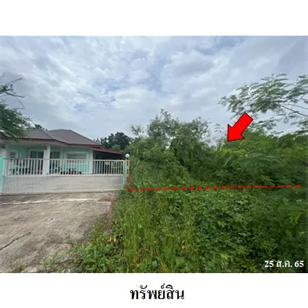 ทรัพย์ บสส. รหัส 3A1936 ที่ดินเปล่า  พิจิตร 251000