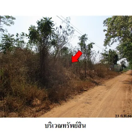 ทรัพย์ บสส. รหัส 3A1937 ที่ดินเปล่า  พิจิตร 314000