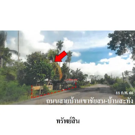 ทรัพย์ บสส. รหัส 3A2061 บ้านเดี่ยว พัทลุง 1353000