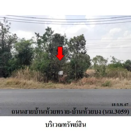 ทรัพย์ บสส. รหัส 3A2355 ที่ดินเปล่า นครราชสีมา 2474000