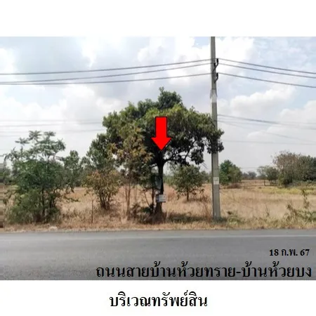 ทรัพย์ บสส. รหัส 3A2356 ที่ดินเปล่า  นครราชสีมา 3304000