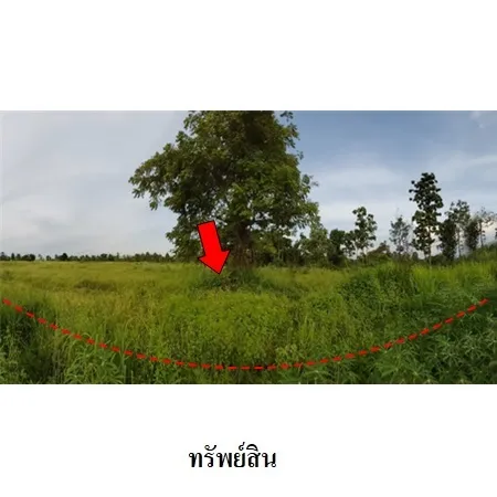 ทรัพย์ บสส. รหัส 3T0080 ที่ดินเปล่า ชัยภูมิ 2326000