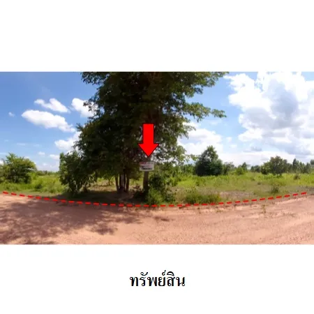 ทรัพย์ บสส. รหัส 3T0081 ที่ดินเปล่า ชัยภูมิ 24057000