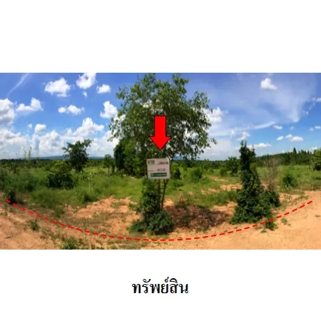 ทรัพย์ บสส. รหัส 3T0082 ที่ดินเปล่า  ชัยภูมิ 21791000