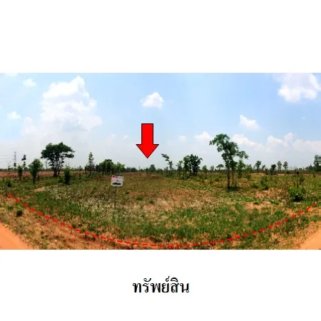 ทรัพย์ บสส. รหัส 3T0084 ที่ดินเปล่า ชัยภูมิ 1429000