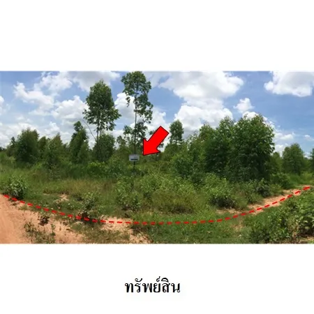 ทรัพย์ บสส. รหัส 3T0085 ที่ดินเปล่า ชัยภูมิ 2065000