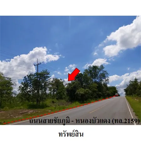 ทรัพย์ บสส. รหัส 3T0087 ที่ดินเปล่า  ชัยภูมิ 13949000