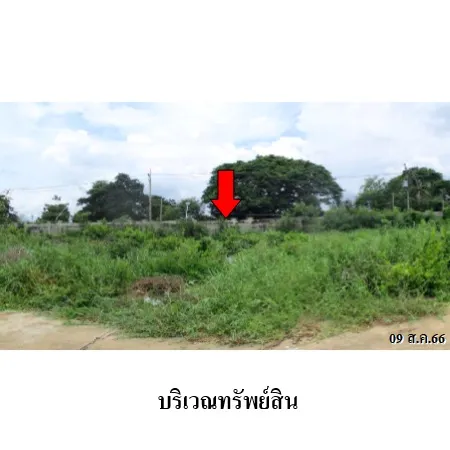 ทรัพย์ บสส. รหัส 4T0131 ที่ดินเปล่า นนทบุรี 1681000