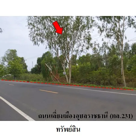 ทรัพย์ บสส. รหัส 4T0227 ที่ดินเปล่า  อุบลราชธานี 9718000