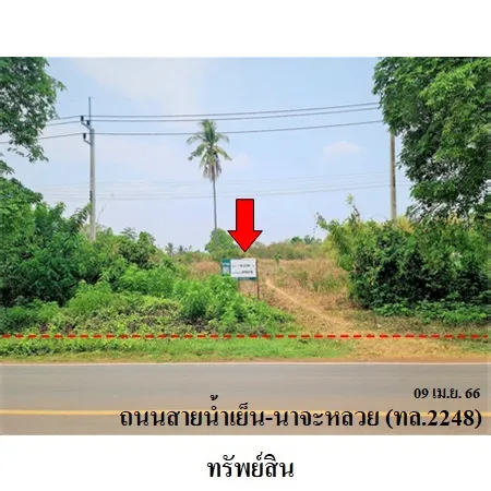 ทรัพย์ บสส. รหัส 4T0318 ที่ดินเปล่า  อุบลราชธานี 7808000