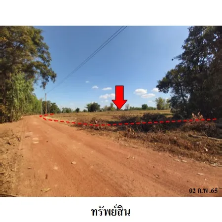 ทรัพย์ บสส. รหัส 4T0504 ที่ดินเปล่า  หนองคาย 2107000