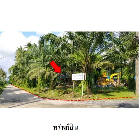 ทรัพย์ บสส. รหัส 4T0530 ที่ดินเปล่า  นครศรีธรรมราช 20126000