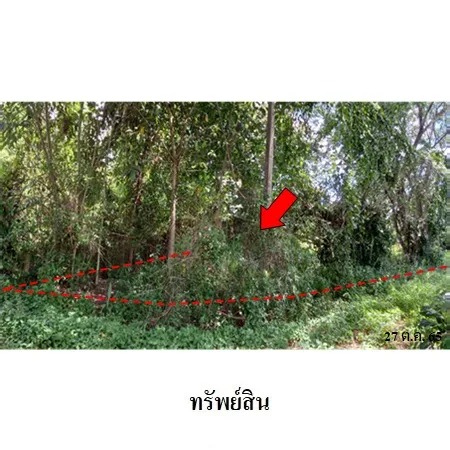 ทรัพย์ บสส. รหัส 4T0983 ที่ดินเปล่า  เชียงใหม่ 1076000