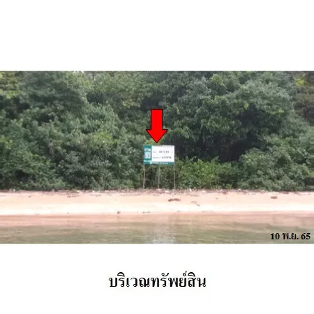ทรัพย์ บสส. รหัส 5T0018 ที่ดินเปล่า  กระบี่ 29437000