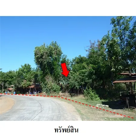 ทรัพย์ บสส. รหัส 5T0076 ที่ดินเปล่า อุบลราชธานี 2582000