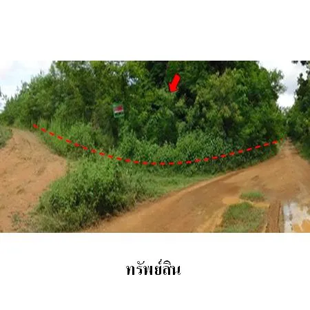 ทรัพย์ บสส. รหัส 8Z0412 ที่ดินเปล่า  เพชรบูรณ์ 187000