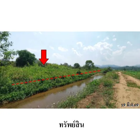 ทรัพย์ บสส. รหัส 8Z0737 ที่ดินเปล่า  เชียงใหม่ 1305000