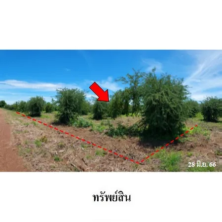 ทรัพย์ บสส. รหัส 8Z0893 ที่ดินเปล่า  เพชรบูรณ์ 270000