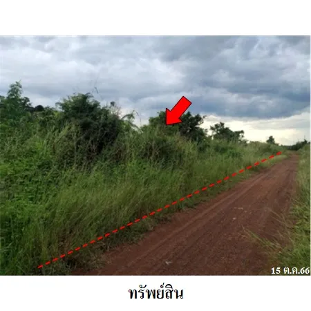 ทรัพย์ บสส. รหัส 8Z0894 ที่ดินเปล่า  เพชรบูรณ์ 281000