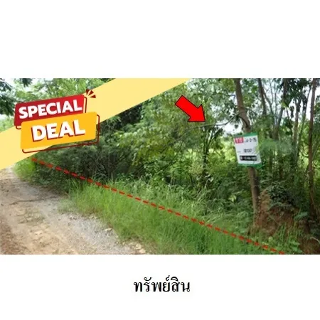 ทรัพย์ บสส. รหัส 8Z1047 ที่ดินเปล่า  เพชรบูรณ์ 577000