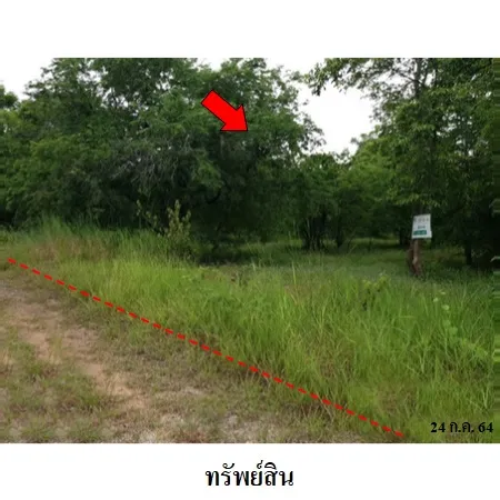 ทรัพย์ บสส. รหัส 8Z1048 ที่ดินเปล่า  เพชรบูรณ์ 534000