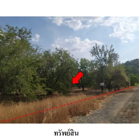 ทรัพย์ บสส. รหัส 8Z1050 ที่ดินเปล่า  เพชรบูรณ์ 329000