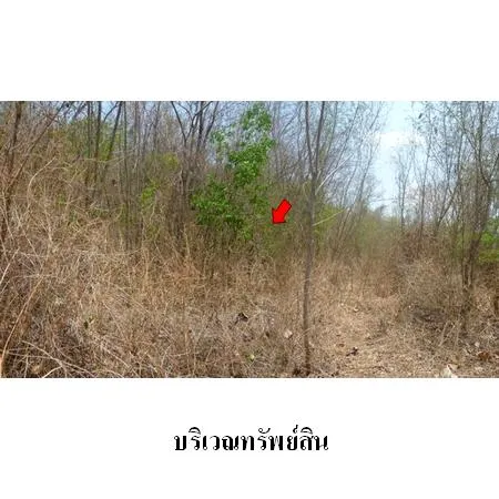 ทรัพย์ บสส. รหัส 8Z1141 ที่ดินเปล่า  เพชรบูรณ์ 359000