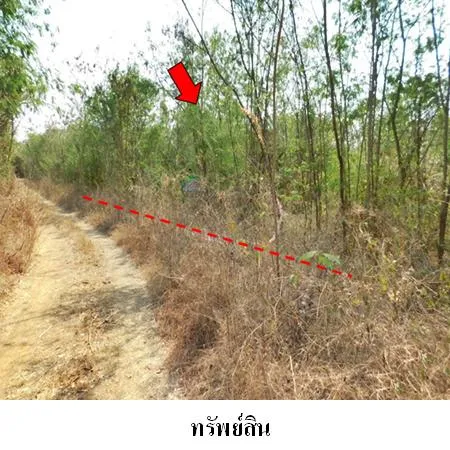 ทรัพย์ บสส. รหัส 8Z1422 ที่ดินเปล่า เพชรบูรณ์ 247000
