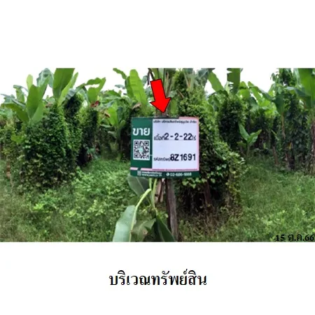 ทรัพย์ บสส. รหัส 8Z1691 ที่ดินเปล่า  สุโขทัย 652000