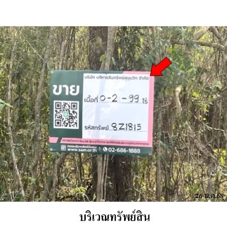 ทรัพย์ บสส. รหัส 8Z1815 ที่ดินเปล่า  เพชรบูรณ์ 99000