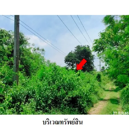 ทรัพย์ บสส. รหัส 8Z1816 ที่ดินเปล่า เพชรบูรณ์ 179000