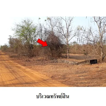 ทรัพย์ บสส. รหัส 8Z1826 ที่ดินเปล่า  ราชบุรี 516000