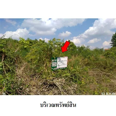 ทรัพย์ บสส. รหัส 8Z1977 ที่ดินเปล่า นครสวรรค์ 584000