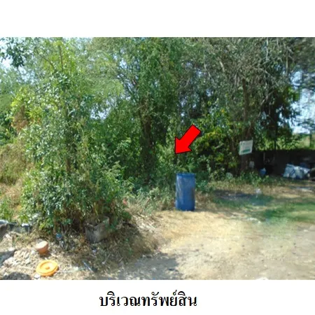 ทรัพย์ บสส. รหัส 8Z1978 ที่ดินเปล่า  นครสวรรค์ 531000