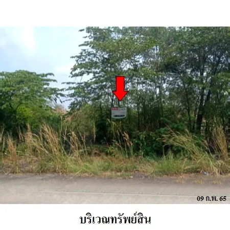 ทรัพย์ บสส. รหัส 8Z2197 ที่ดินเปล่า  พระนครศรีอยุธยา 1255000
