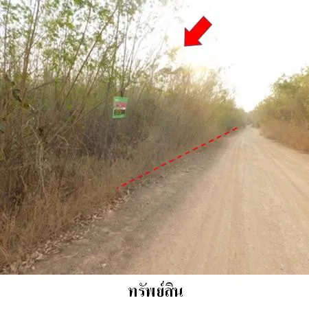 ทรัพย์ บสส. รหัส 8Z2404 ที่ดินเปล่า เพชรบูรณ์ 308000