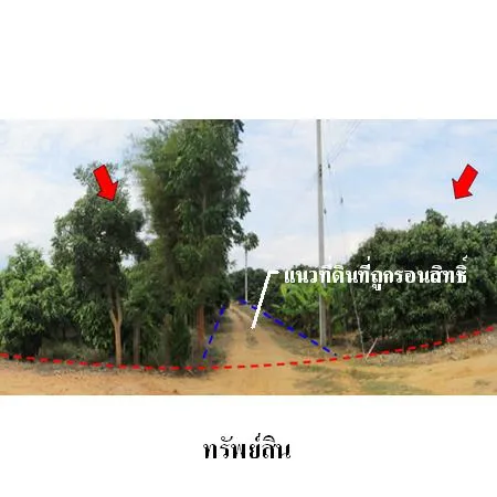 ทรัพย์ บสส. รหัส 8Z2406 ที่ดินเปล่า  ลำพูน 2004000