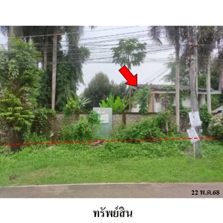 ทรัพย์ บสส. รหัส 8Z2478 บ้านเดี่ยว  ตรัง 908000